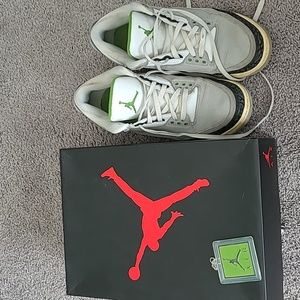 Nike Air Jordan 3 Chlorophyll 10.5 beaters